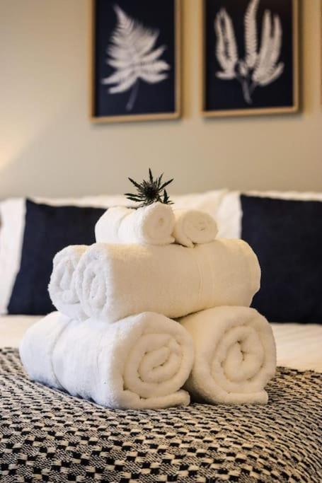City Views By The Castle, Free Designated Parking. Stirling Exterior foto